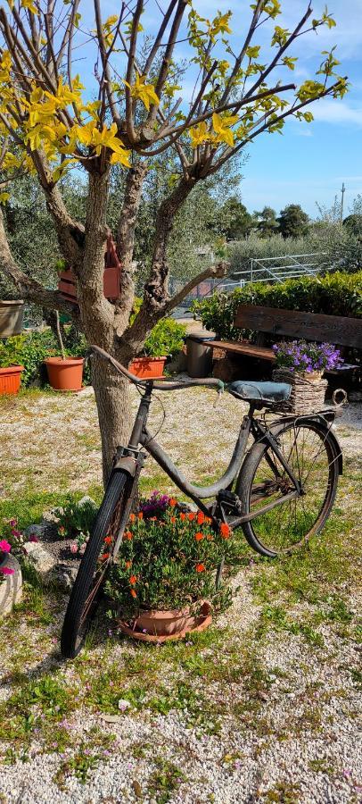 Antico Trullo Immerso Nella Campagna Alberobello Exteriér fotografie